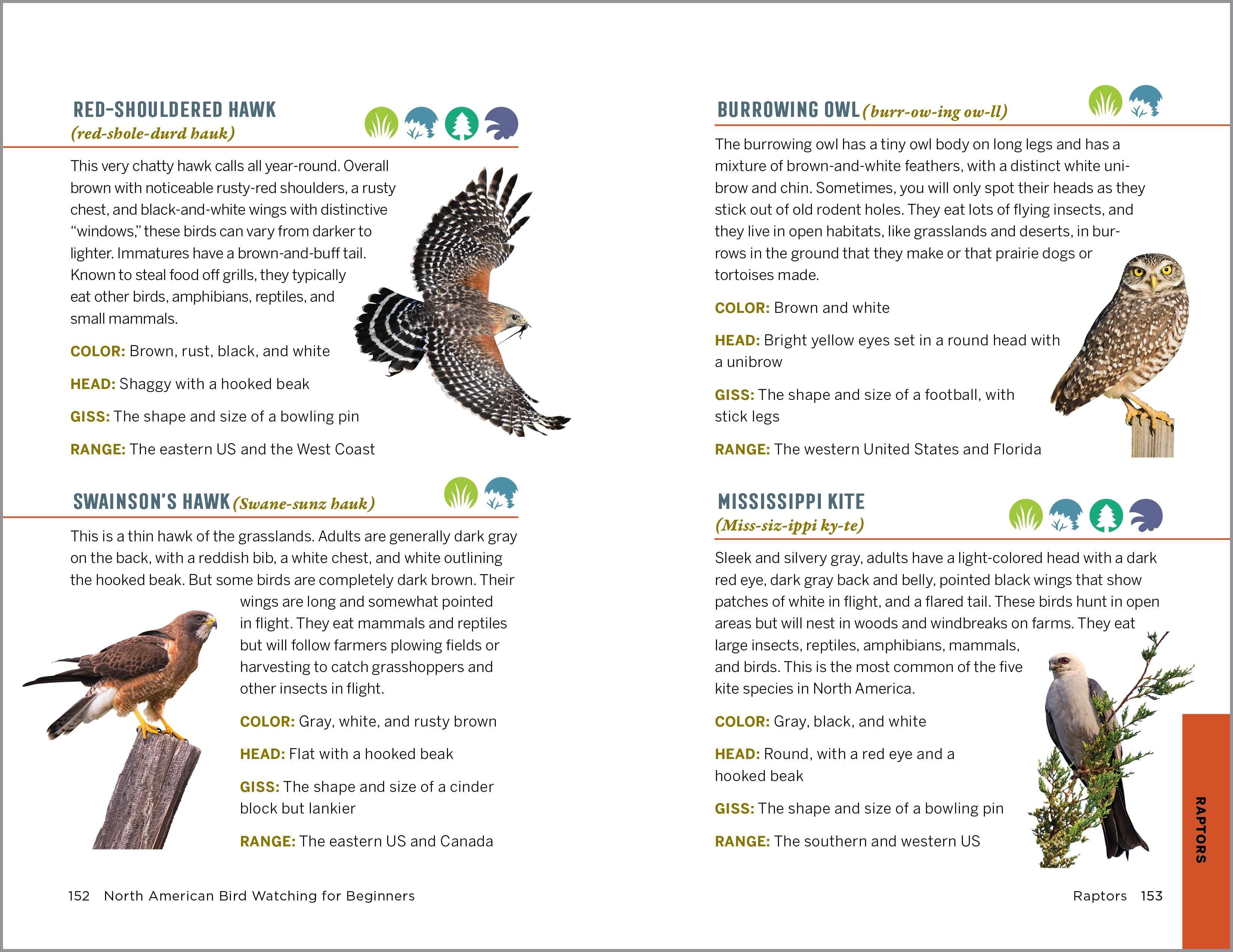 North American Bird Watching for Beginners (Spiral Bound)
