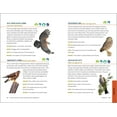 thumbnail image 3 of North American Bird Watching for Beginners (Spiral Bound), 3 of 9