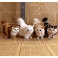 thumbnail image 4 of JIUOU Mini Jouets Réalistes pour Chat - Jouets en Peluche Mignons de 4,7 Pouces, 4 of 7
