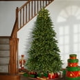 thumbnail image 2 of National Tree Company 7.5 ft. Jersey Fraser Fir Slim Tree with Dual Color LED Infinity Lights, 2 of 2