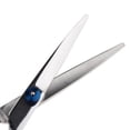 thumbnail image 4 of Tijeras de Adelgazamiento de Pelo Baoblaze Profesional 6.5 Pulgadas Acero Inoxidable Azul, 4 of 5
