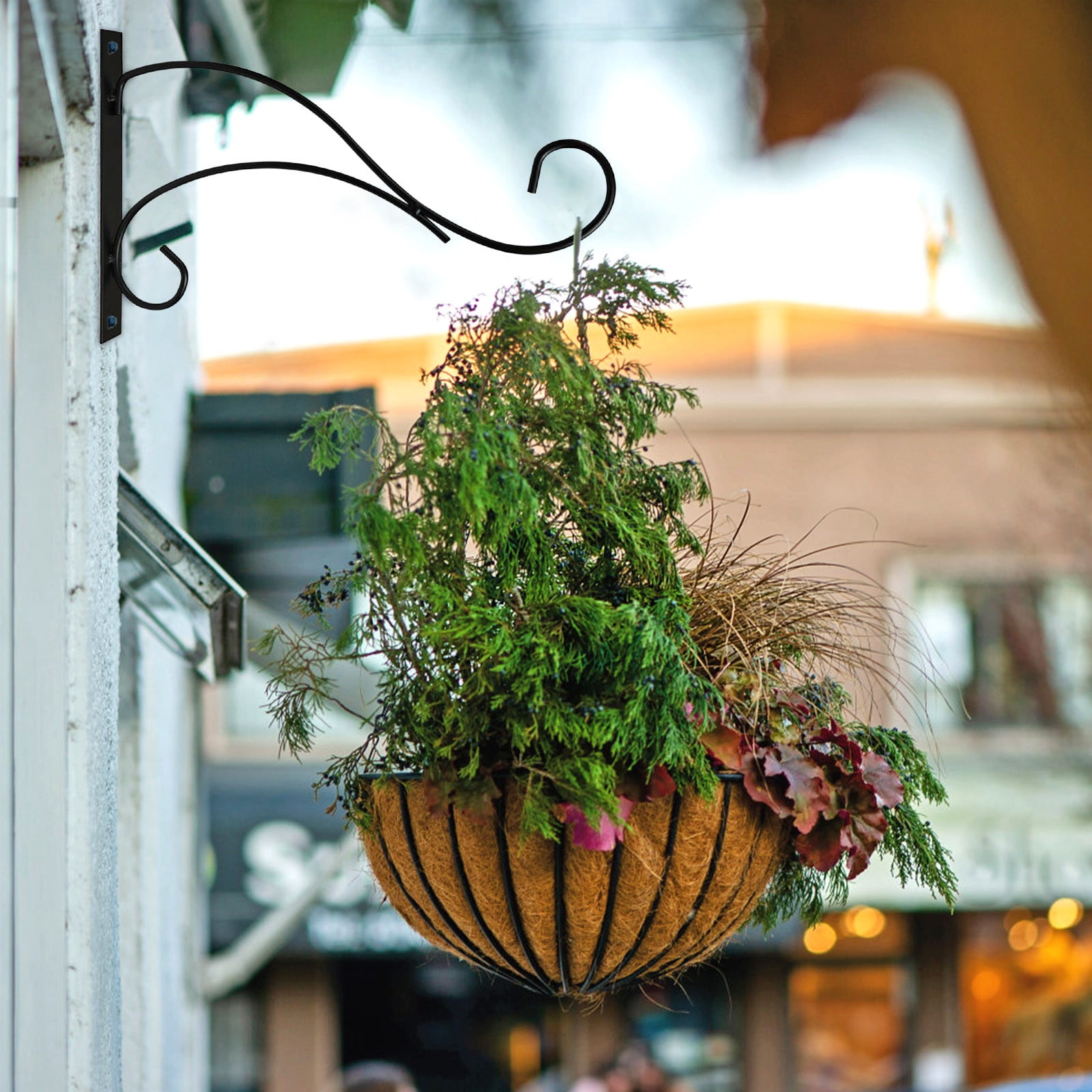 Decorative hooks for hanging plants hotsell