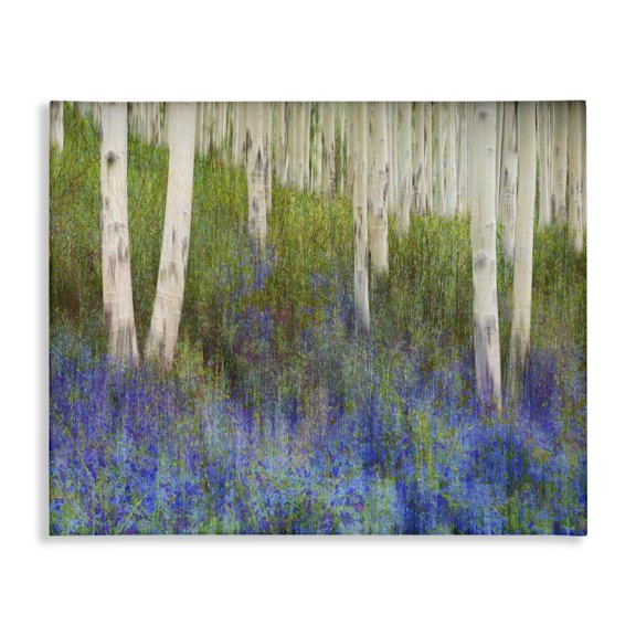 Stupell Industries Contemporary Lavender Field with Birch Trees Canvas Art, 20 x 16, by Chris Vest