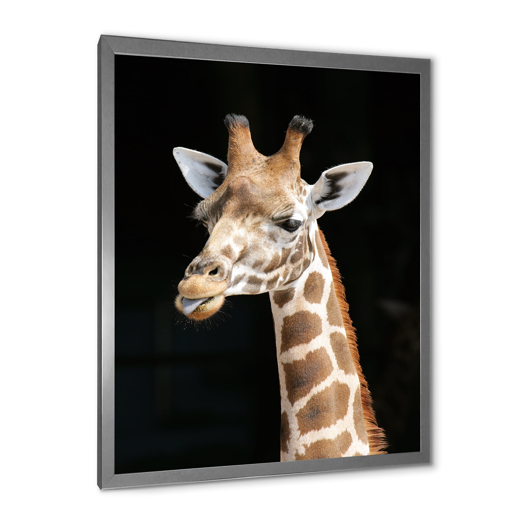 Designart 'Close Up Portrait Of A Giraffe On Black III' Farmhouse Framed Art Print