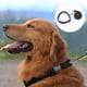 thumbnail image 3 of Conjunto de collar y correa para perro, collar de nailon ajustable para mascotas, adecuado para perros pequeños y medianos., 3 of 5
