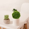 thumbnail image 4 of BESTYASH 4Pcs Orbs Decorative Balls Green Plastic Round Decoration Outdoor Decoration Event Planners Home Owners, 4 of 8