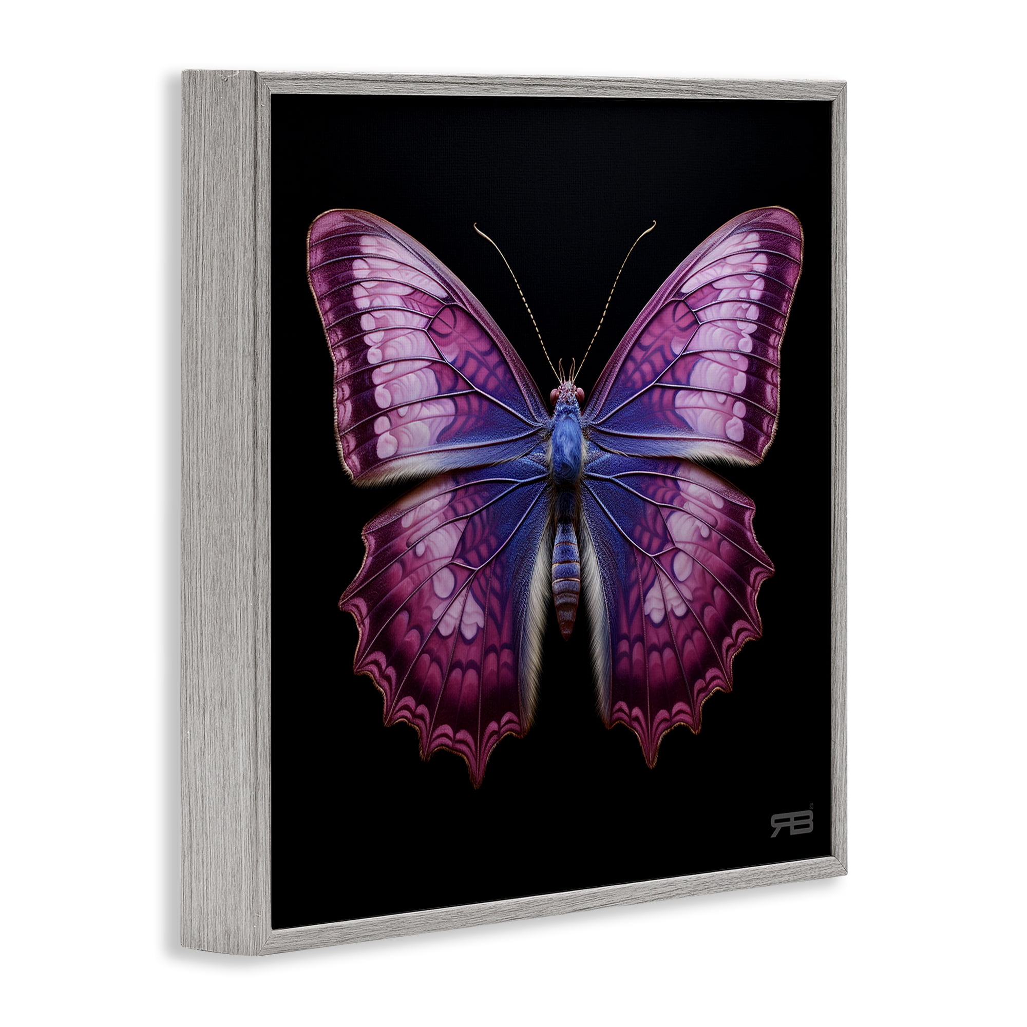 Stupell Industries Vivid Purple Butterfly Animals & Insects Painting Gray Framed Art Print Wall Art, 24 x 24
