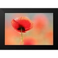 thumbnail image 2 of Raimond, Roeselien 24x17 Black Modern Framed Museum Art Print Titled - Poppy Dream, 2 of 5