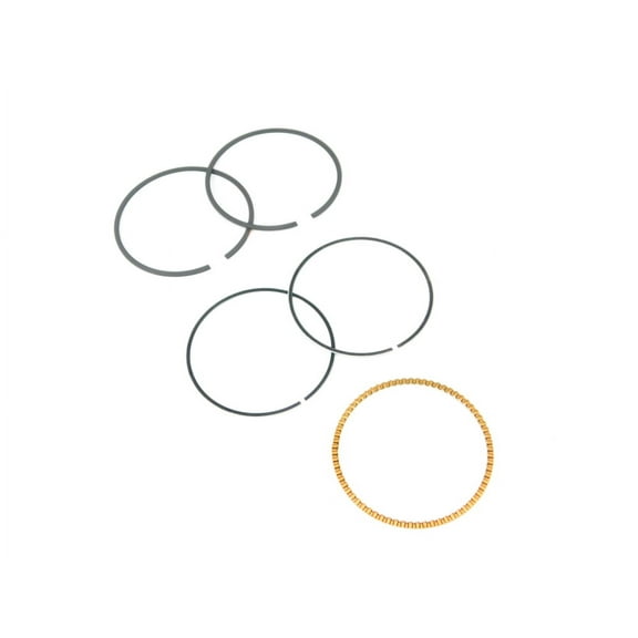 Briggs & Stratton Ring Set | 590523