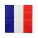 thumbnail image 1 of 20 France paper napkins 33 x 33 cm, 1 of 1