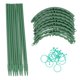thumbnail image 1 of 3 juegos de jaula de soporte para plantas, estaca de plástico de 25cm, accesorio de horticultura para tomate flor, 1 of 8