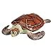 thumbnail image 3 of Design Toscano Flat Back Sea Turtle Statue, 3 of 4