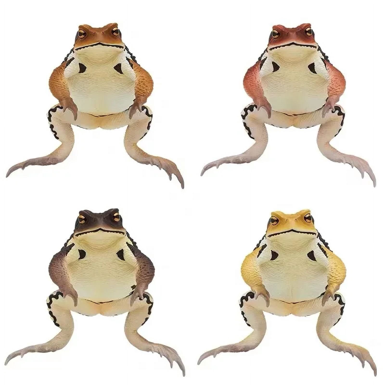 Capsule Toys Biographical Illustrated NTC Series Big Toad Action