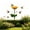 Gold#25609, variant on Iron Bird Feeder Outdoor Garden Courtyard Decoration, 64 x 11 cm Metal Flower Arrangement Hanging Feeder with Stable Stand for Birds