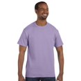 thumbnail image 2 of Hanes ComfortBlend EcoSmart T-Shirt à Col Ras du Cou pour Hommes, TG, Bleu Pâle, 2 of 4