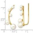 thumbnail image 3 of 925 Sterling Silver Gold-tone 3-6mm White FWC Pearl Ear Climber Earrings; for Adults and Teens; for Women and Men, 3 of 3