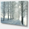 thumbnail image 3 of Designart Winter Trees Backlit by Morning Sun Canvas Wall Art, 3 of 4