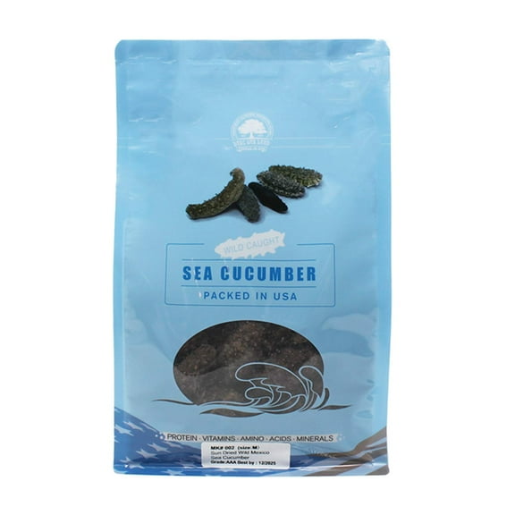 DOL AAA Grade Sun Dried Wild Caught South American Sea Cucumber, AAA Grade All Natural Nutritious Medium 1lb bag