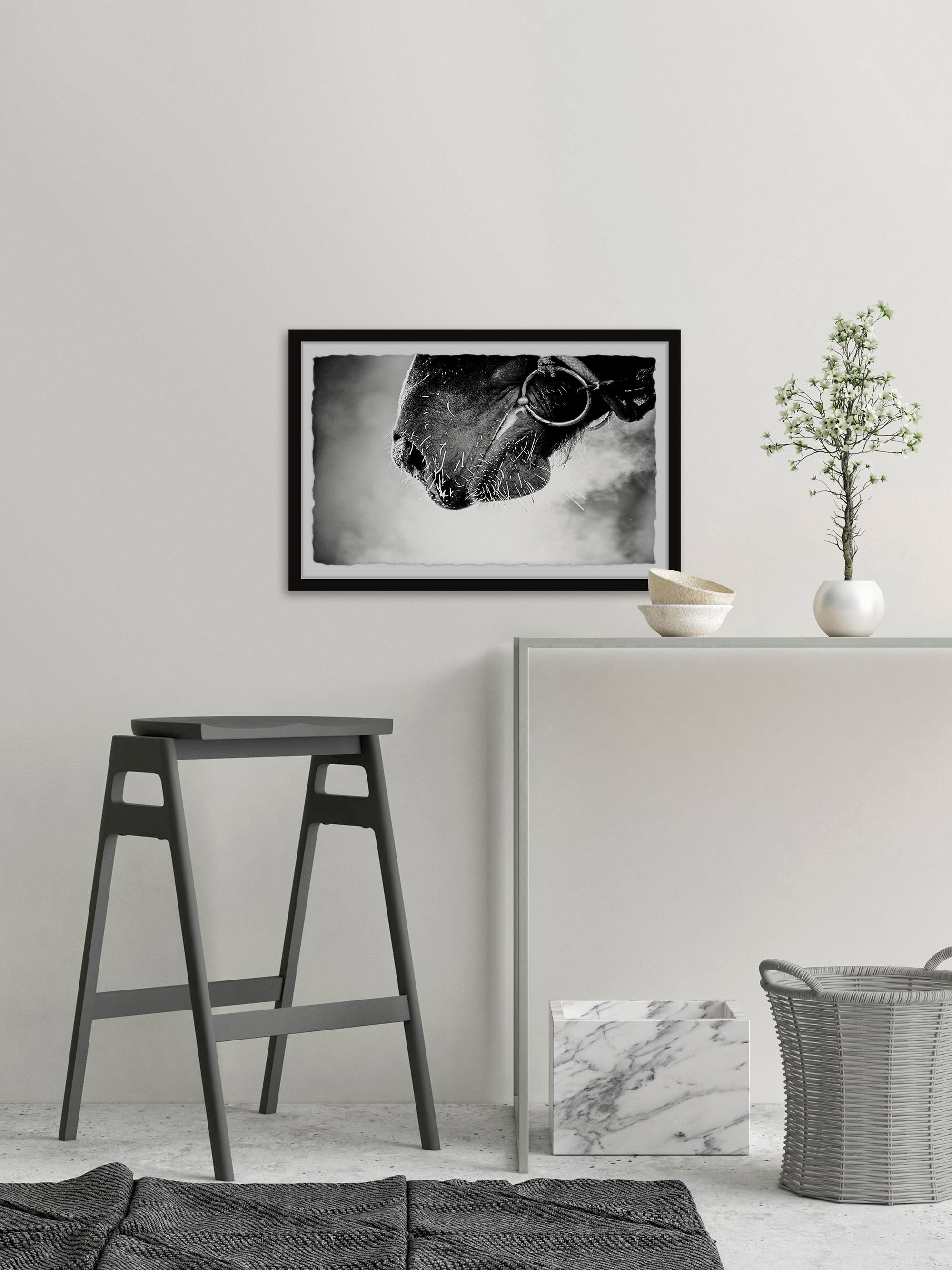 Marmont Hill Muzzle Framed Wall Art