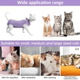thumbnail image 4 of Cat rehabilitation suit suitable for abdominal trauma and postoperative spasm, suitable for cats, dogs and respirable surgical body suit, 4 of 5