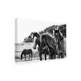 thumbnail image 2 of Trademark Fine Art 'Horses Three' Canvas Art by Aledanda, 2 of 3