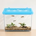 thumbnail image 3 of Vibrant Life Pet Carrier for Small Fish, Amphibians, Reptiles, and Insects, 9.13" x 6" x 6.75", 3 of 7
