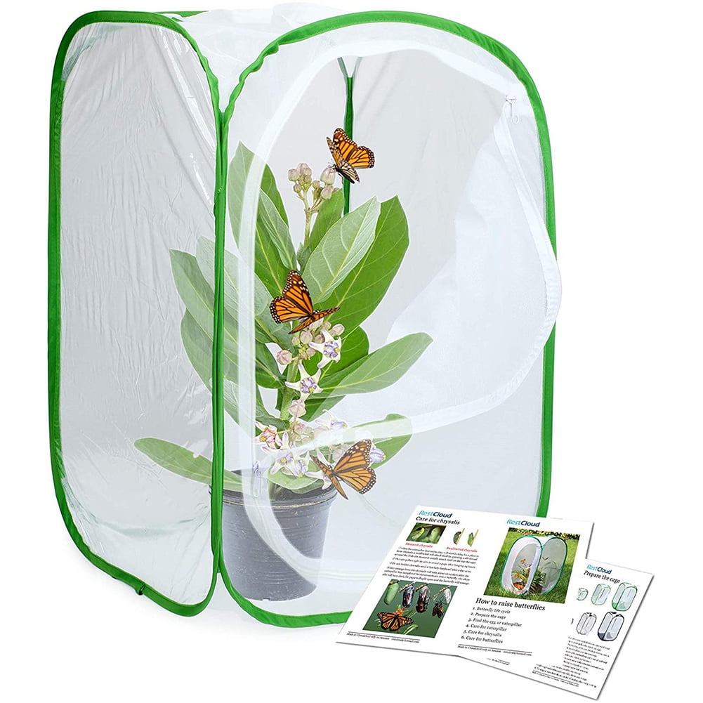 Monarch Butterfly Cage Habitat with 5 Mesh Panels for Airflow Pop Up Butterfly Kit 11.8 Inch 2 Pack Collapsible Caterpillar Habitat 
