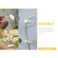 thumbnail image 4 of 300 Pcs Indoor House Plant Climbing Clips Cable Holders Wall Mount Cord Organizers for Secure Plant Support, 4 of 6