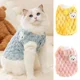 thumbnail image 2 of Chaqueta con botones para cachorro de gato de peluche con hebilla, ropa cálida de invierno para mascotas, abrigo con estampado de oso de dibujos animados para gatitos, ropa Sphynx, 2 of 5