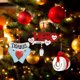 thumbnail image 4 of Colgantes Adorno familiar sobrevivido ANGGREK Nombre personalizado Adorno para árbol de Navidad 2020, 4 of 7