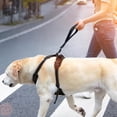 thumbnail image 1 of YWIYIUD 1PC 12 Inch Heavy Duty Elastic Dog Leash for Large Medium Dogs NoPull ShockAbsorbing Dog Leash with Handle Practical Climbing Rope for Walking Training Hiking and Daily Activities, 1 of 7