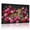 D, variant on XaaKee Floral Leopard Bloom Pink Leopard Flowers Art Prints Canvas Wall Art Prints Inner Framed 18*12Inch