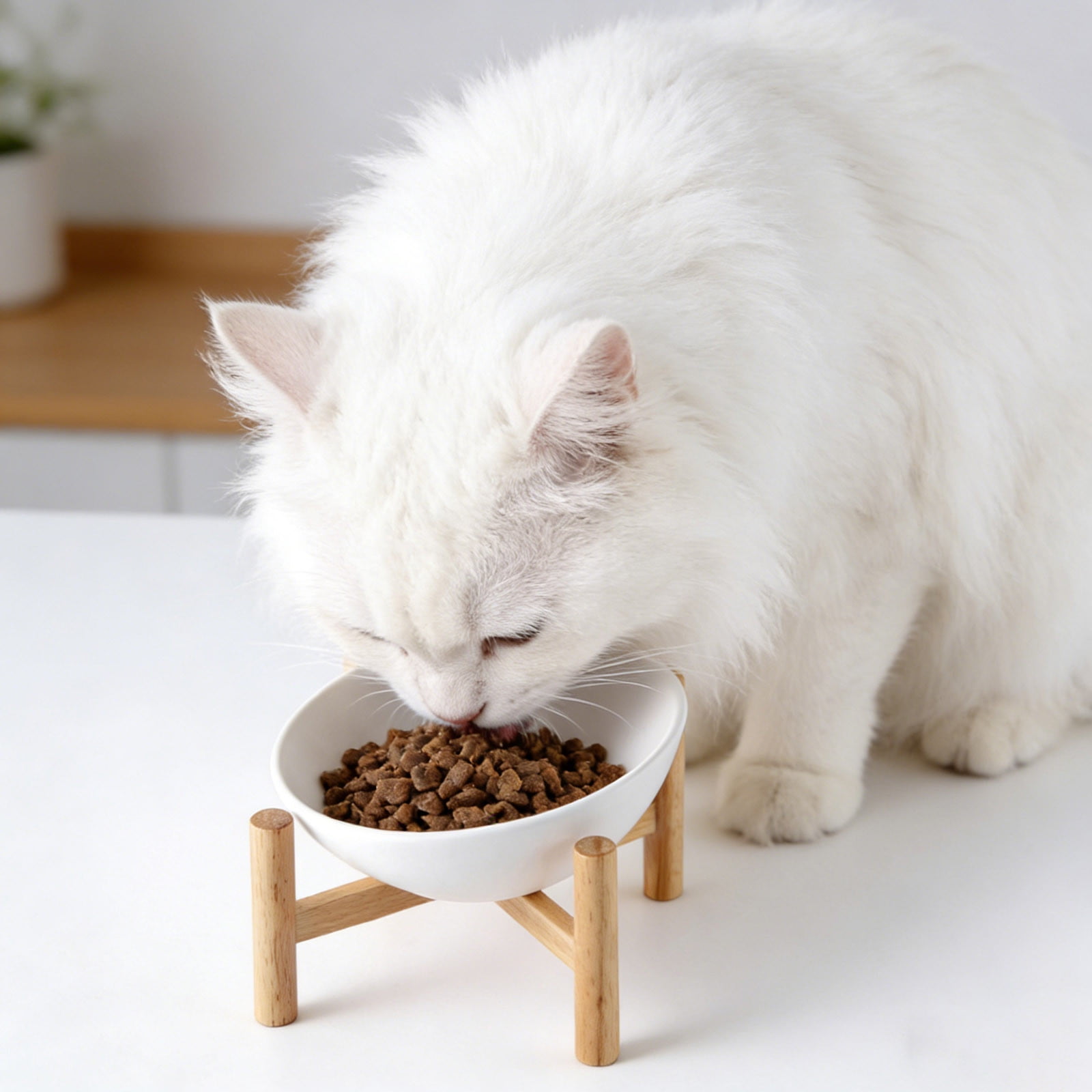 Elevated Ceramic Cat and Dog Bowls Non- Vomit Feeder with Stand for Pet Dining