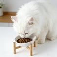 thumbnail image 4 of Elevated Ceramic Cat Bowls Feeder with Stand Non Container for Indoor Use Pet Supplies, 4 of 4