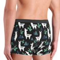 thumbnail image 4 of Men's Boxer Briefs, Cartoon Pyramid Cute Alpaca Cactus Soft Comfy Mens Underwear Boxer Briefs Breathable With Widen Waist, 4 of 7