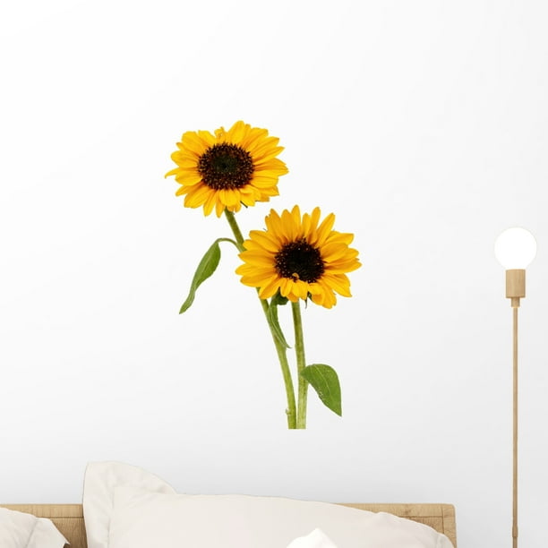 Sunflowers Wall Decal by Wallmonkeys Peel and Stick Graphic (18 in H x