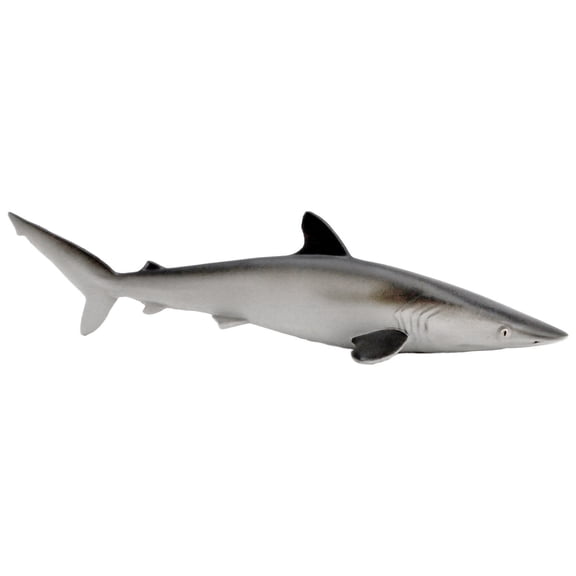 Safari Ltd. Silky Shark - Realistic 5.5" Sea Life Figure - Educational Toy for Boys, Girls, and Kids Ages 3 