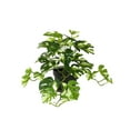 thumbnail image 1 of Toystoory Plantas artificiales Hoja Planta falsa Interior Exterior de boda falsa Hogar Paisaje de Navidad Regalo de inauguración de la casa Decoración blanco verde con maceta, 1 of 6