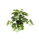 thumbnail image 2 of Matsuzay Plantas artificiales Hoja Planta falsa Interior Exterior de boda falsa Hogar Paisaje de Navidad Regalo de inauguración de la casa Decoración blanco verde con maceta, 2 of 6