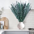 thumbnail image 3 of Dried Eucalyptus Plant,20pcs Durable Greenery Leaves for Vase Filler,Shower Hanging Plant,HYG Eucalyptu Plants for Farmhouse,Room Decor, 3 of 6