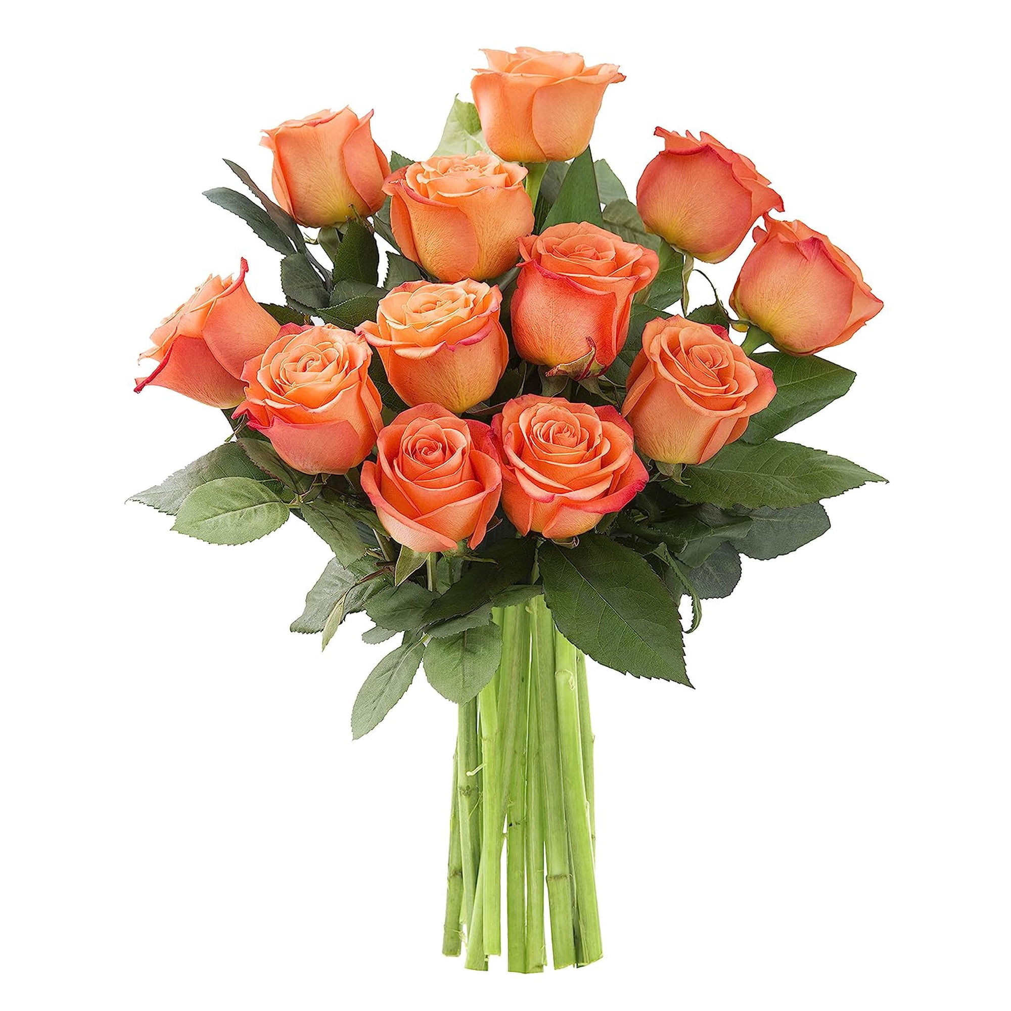 KaBloom : 12 Orange Roses Next-Day Delivery Gift for Every Occasion.