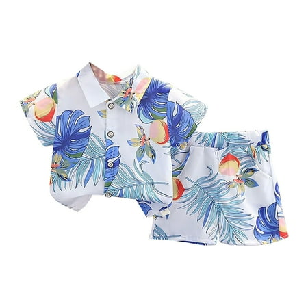 

Baby Boy Gift Basket 23 Piece Gift Set Toddler Baby Boy Shorts Sets Outfit Kid Leave Floral Short Sleeve Shirt Top+shorts Suits