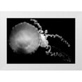 thumbnail image 3 of Erin Berzel 4x24 White Modern Wood Framed Wall Art Titled - Jellyfish Glow IX, 3 of 5