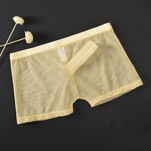 Men's Semitransparent Elastic Waist Mesh Underpants