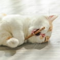thumbnail image 4 of Cat molar Polygonum multiflorum stick палочки мататаби Silvervine, 4 of 7