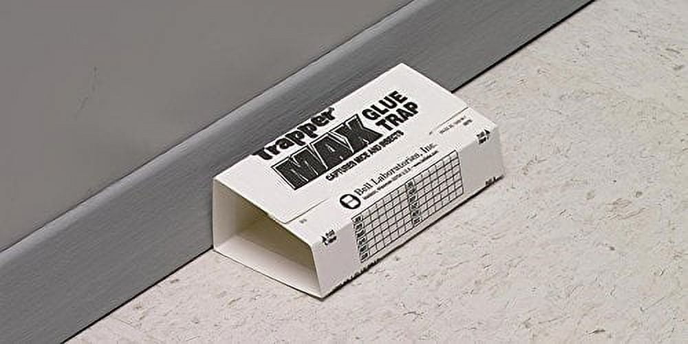 Bell Labs Full CASE of Trapper Max Free Mouse Glue Boards (72 Boards), White (TX2672)