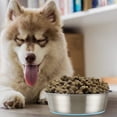 thumbnail image 5 of Azul XL 255 cm Cuenco para perros antideslizante antivuelco cuenco de comida para perros de acero inoxidable, 5 of 5