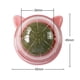 thumbnail image 1 of Bola de hierba gatera giratoria para gatos naturales, bolas para lamer, aperitivos de hierba gatera molares (rosa) Likrtyny Para estrenar, 1 of 7