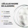 thumbnail image 3 of Vitasei - Contorno de Ojos Día con Células Madre, Aminoácidos de Seda, Ácido Hialurónico y Aloe Vera | Hidratante, Antiarrugas y Rejuvenecedor, 30g, 3 of 7