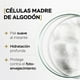thumbnail image 3 of Vitasei - Contorno de Ojos Día con Células Madre, Aminoácidos de Seda, Ácido Hialurónico y Aloe Vera | Hidratante, Antiarrugas y Rejuvenecedor, 30g, 3 of 7